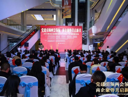 党建引领两会领航 商企聚势共启新章—2025商会企业家联谊暨良志国际汽车城团建活动圆满成功